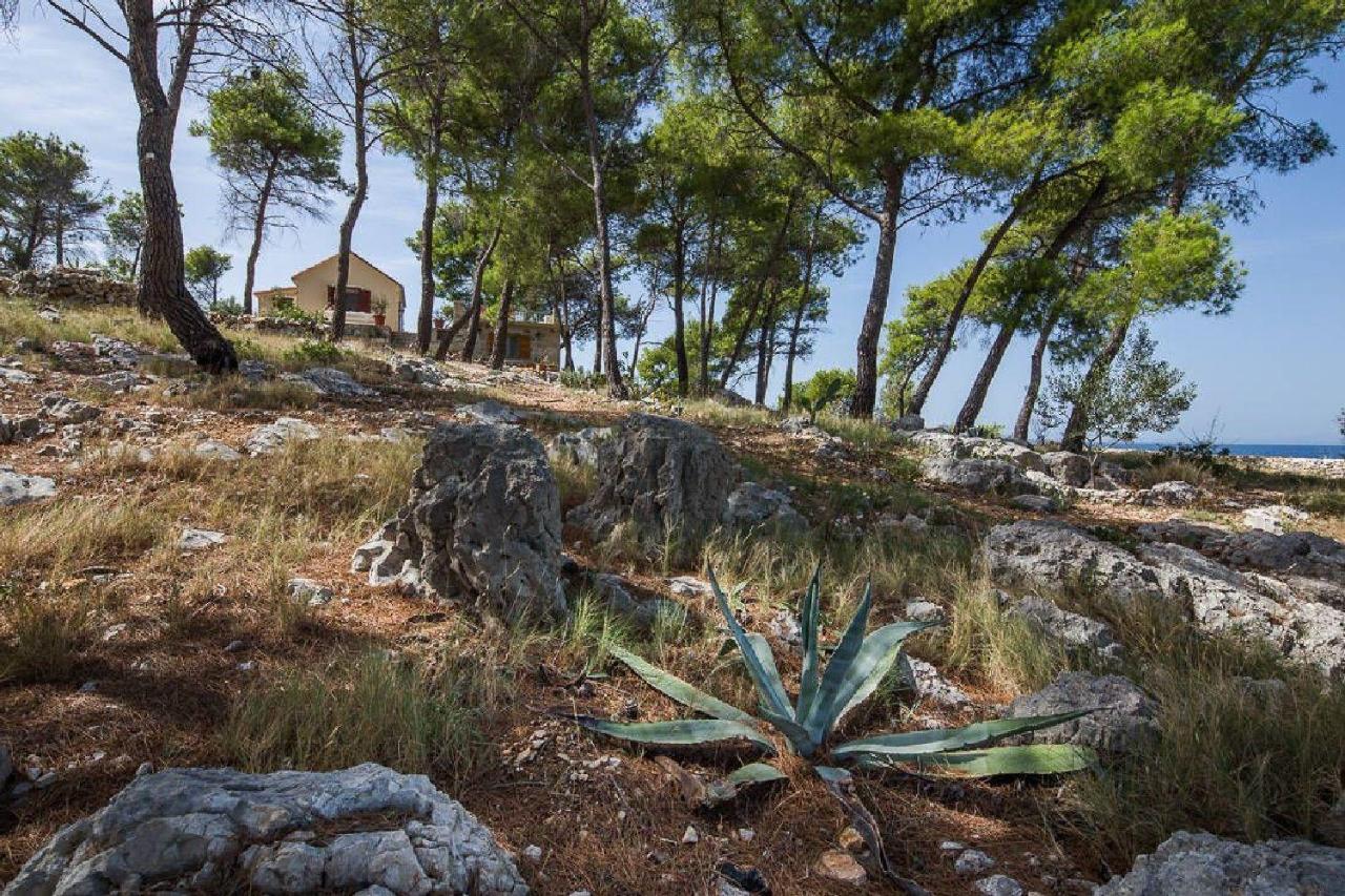 Vila House Vesna Kupinova Milna  Exteriér fotografie